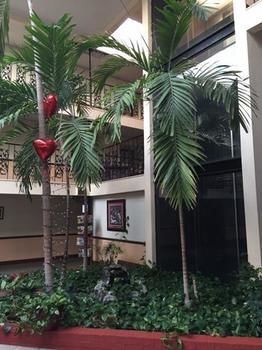 Hotel Baymont By Wyndham Al 3*